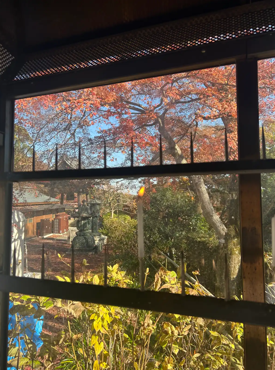 Candle lit by Amber Trippett and Alec Usher