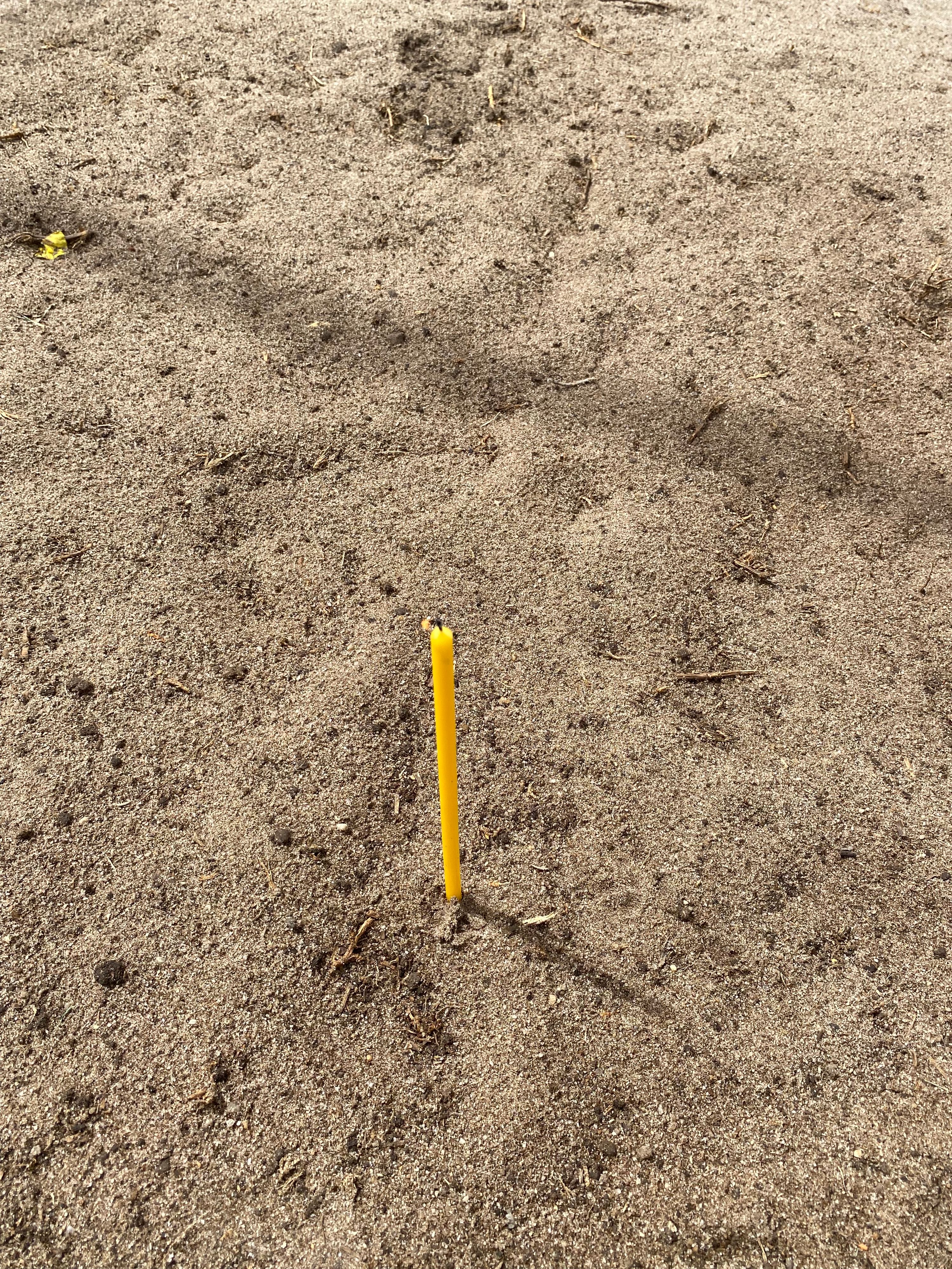 Candle lit by Daniel Pacovski