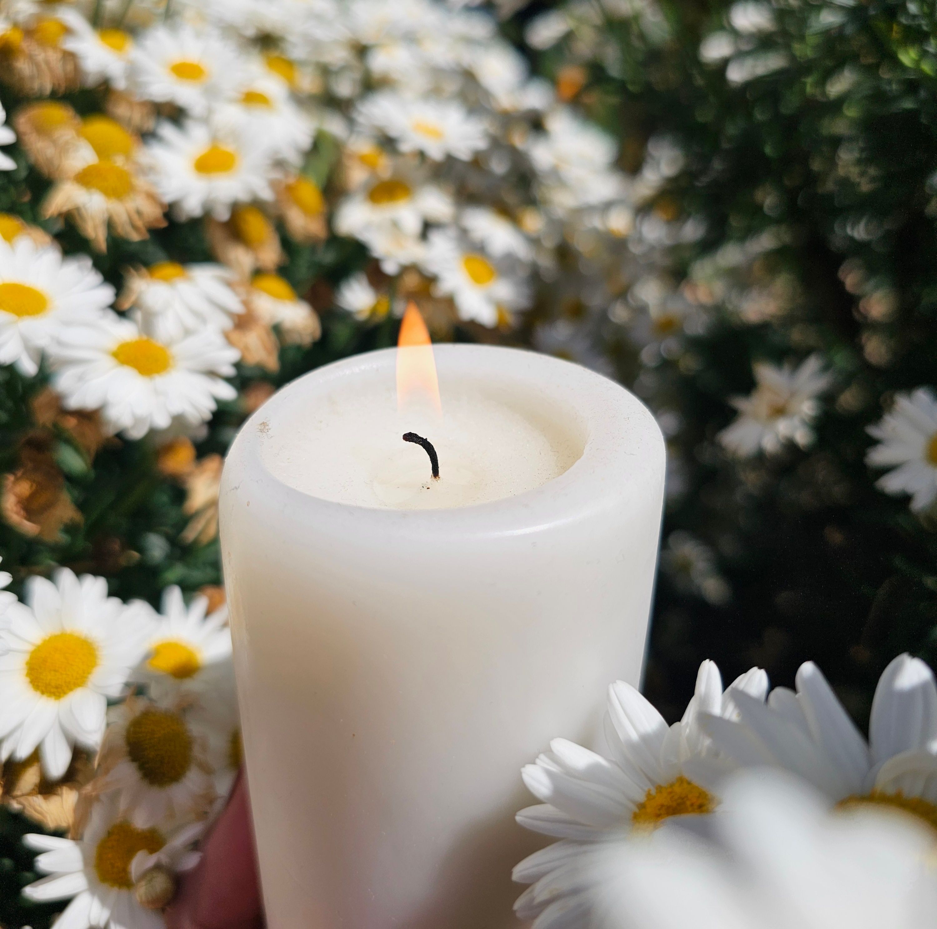 Candle lit by Marion Petitqueux
